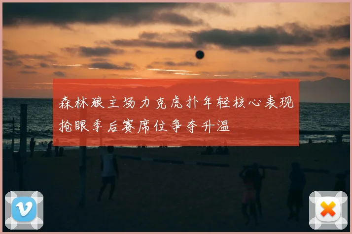 森林狼主场力克虎扑年轻核心表现抢眼季后赛席位争夺升温