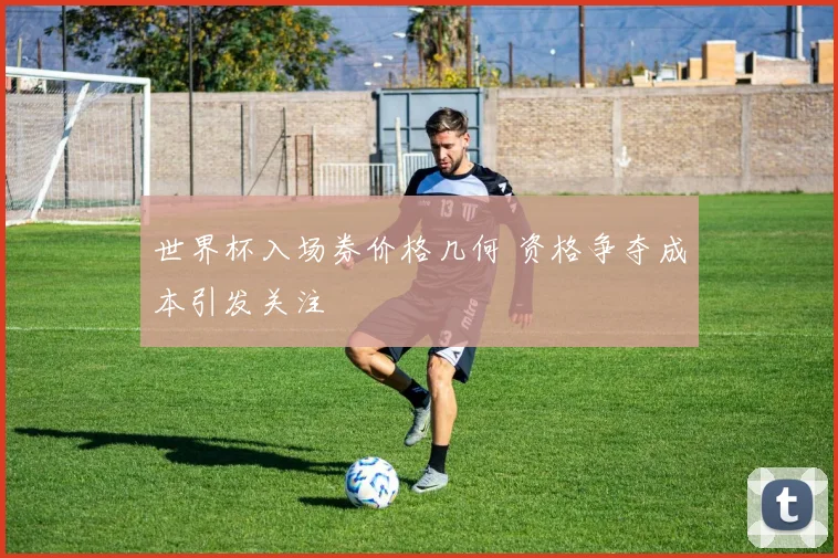 世界杯入场券价格几何 资格争夺成本引发关注