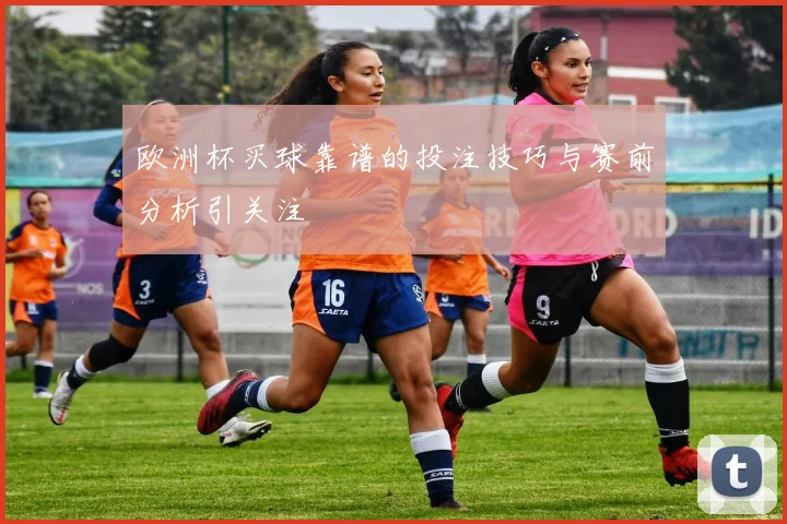 欧洲杯买球靠谱的投注技巧与赛前分析引关注