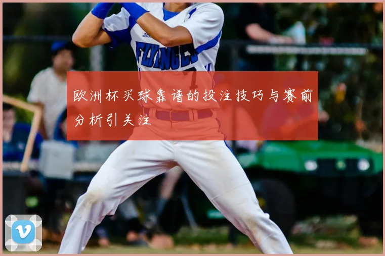 欧洲杯买球靠谱的投注技巧与赛前分析引关注